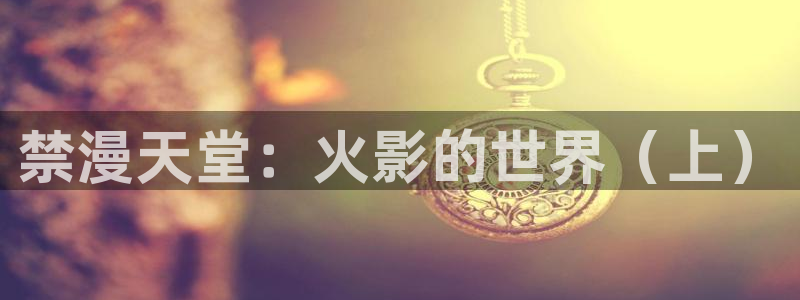 风车动漫下载入口最新：禁漫天堂：火影的世界（上）