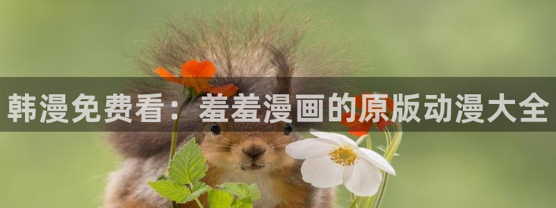 omofun动漫官网在线看：韩漫免费看：羞羞漫画的原版动漫大全