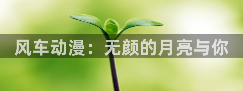 omofun全新版官网入口：风车动漫：无颜的月亮与你