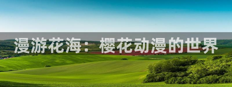 o站(omofun)官网：漫游花海：樱花动漫的世界