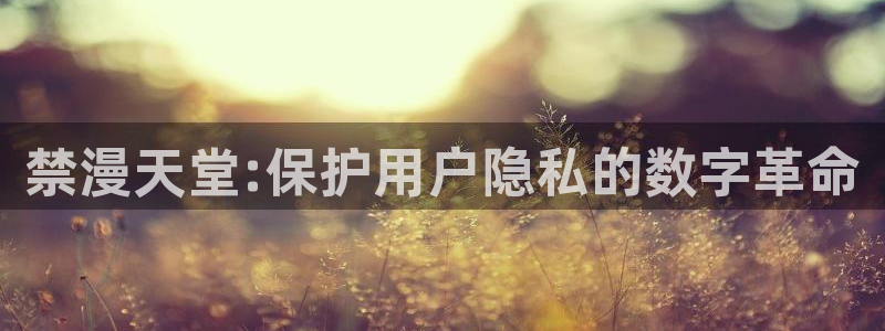 风车动漫免费下载：禁漫天堂:保护用户隐私的数字革命