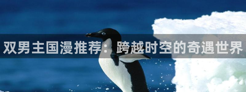 omofun纯净版2024：双男主国漫推荐：跨越时空的奇遇世界