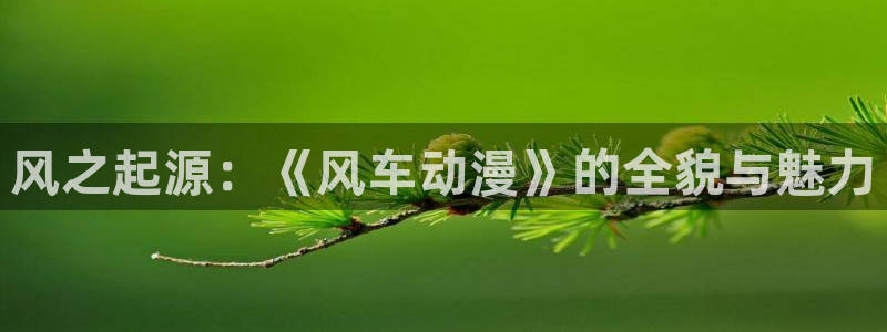 omofun官方网站：风之起源：《风车动漫》的全貌与魅力