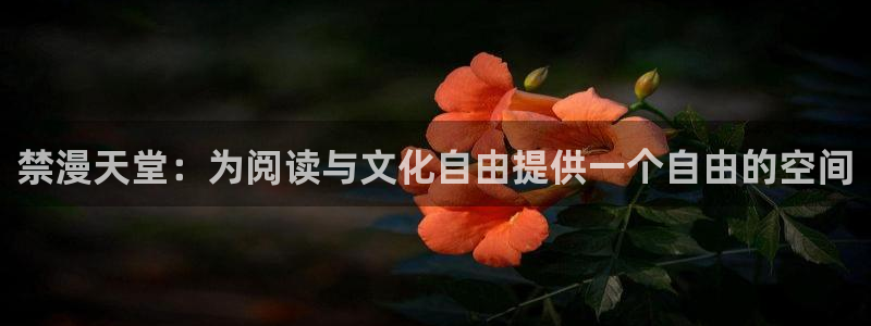 omofun新版本：禁漫天堂：为阅读与文化自由提供一个自由的空间