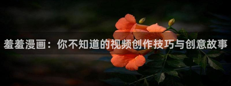 omofun的官网：羞羞漫画：你不知道的视频创作技巧与创意故事