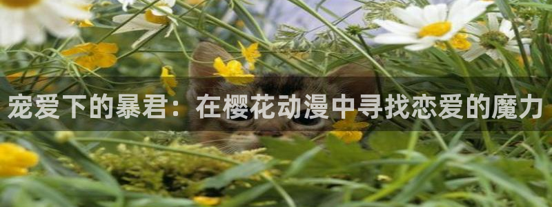 omofun电脑版：宠爱下的暴君：在樱花动漫中寻找恋爱的魔力