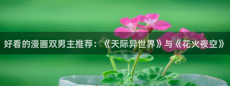 omofun宕卧：好看的漫画双男主推荐：《天际异世界》与《花火夜空》