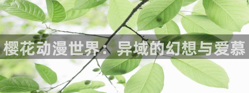 omofun动漫网页版