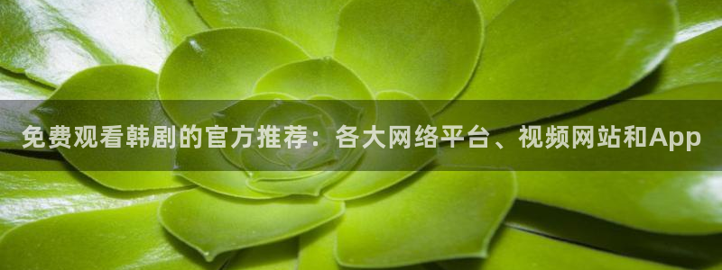 omofun专注动漫官网入口