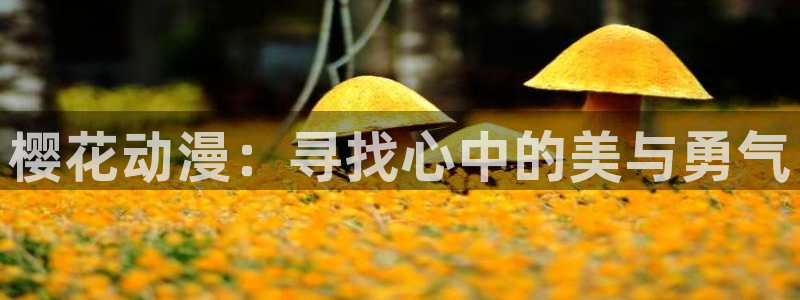 omofun/