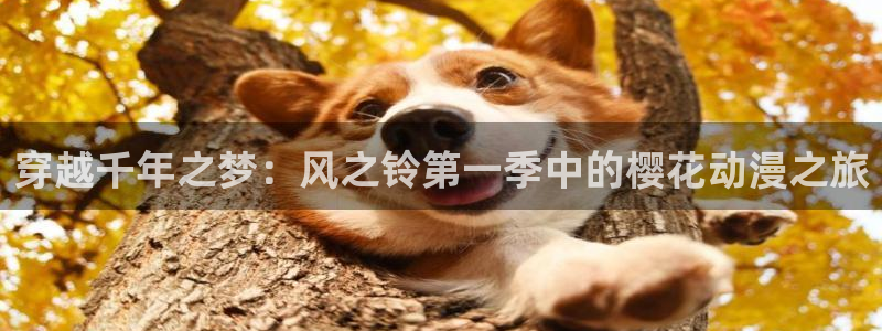 omofun..com：穿越千年之梦：风之铃第一季中的樱花动漫之旅