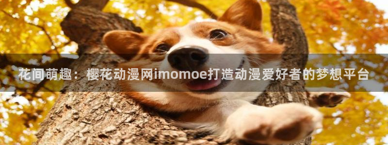 omofun苹果版：花间萌趣：樱花动漫网imomoe打造动漫爱好者的梦想平台