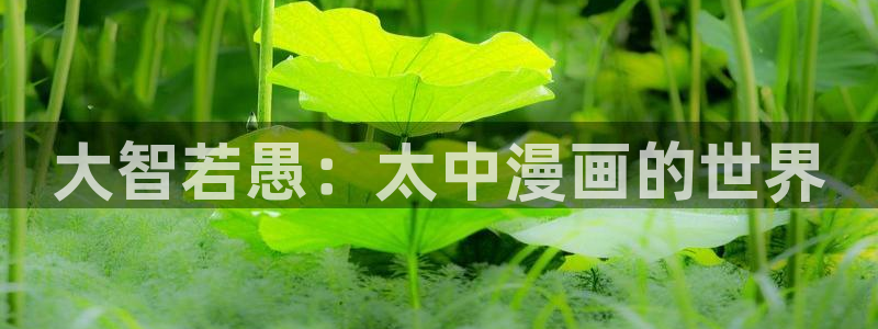 omofun. t：大智若愚：太中漫画的世界
