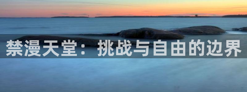 omofun是正经软件吗：禁漫天堂：挑战与自由的边界