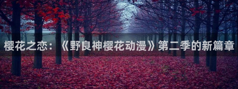 omofun正版官网下载：樱花之恋：《野良神樱花动漫》第二季的新篇章