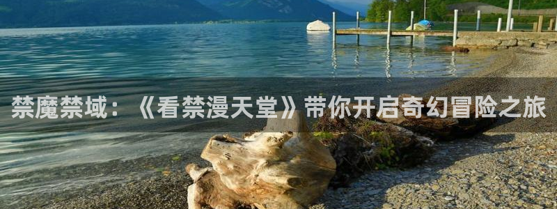 风车动漫入口ios版：禁魔禁域：《看禁漫天堂》带你开启奇幻冒险之旅