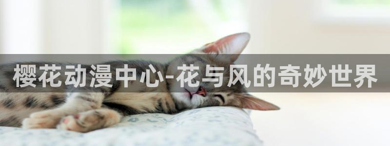 风车动漫下载入口最新：樱花动漫中心-花与风的奇妙世界