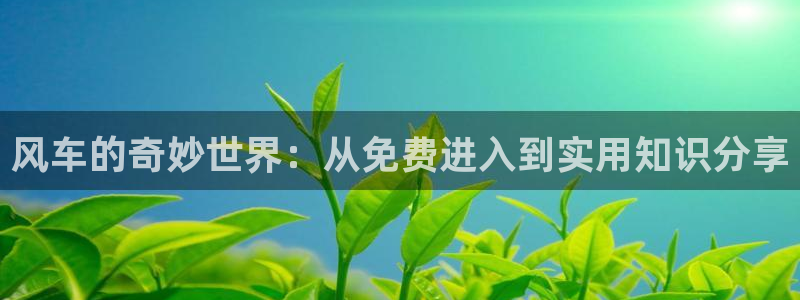 omofun官方网站进入：风车的奇妙世界：从免费进入到实用知识分享