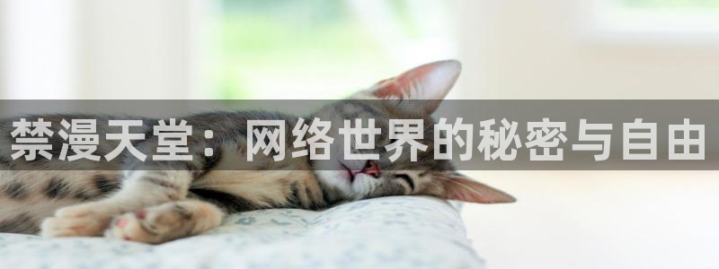 omofun是正经软件吗：禁漫天堂：网络世界的秘密与自由