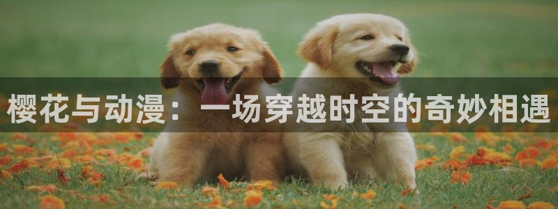 动漫共和国(omofun)官网下载：樱花与动漫：一场穿越时空的奇妙相遇